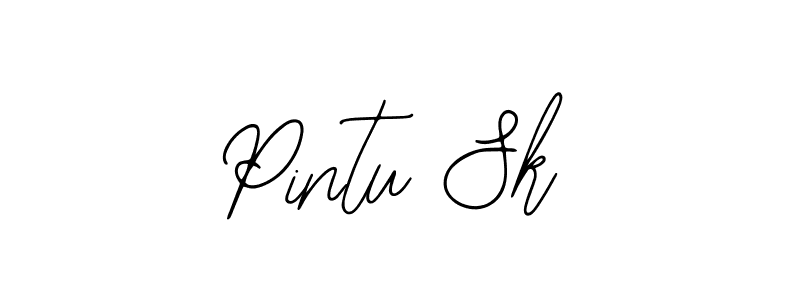 It looks lik you need a new signature style for name Pintu Sk. Design unique handwritten (Bearetta-2O07w) signature with our free signature maker in just a few clicks. Pintu Sk signature style 12 images and pictures png