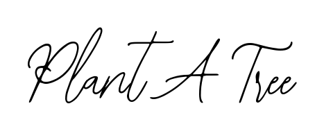 Once you've used our free online signature maker to create your best signature Bearetta-2O07w style, it's time to enjoy signing your documents with Plant A Tree name. Plant A Tree signature style 12 images and pictures png