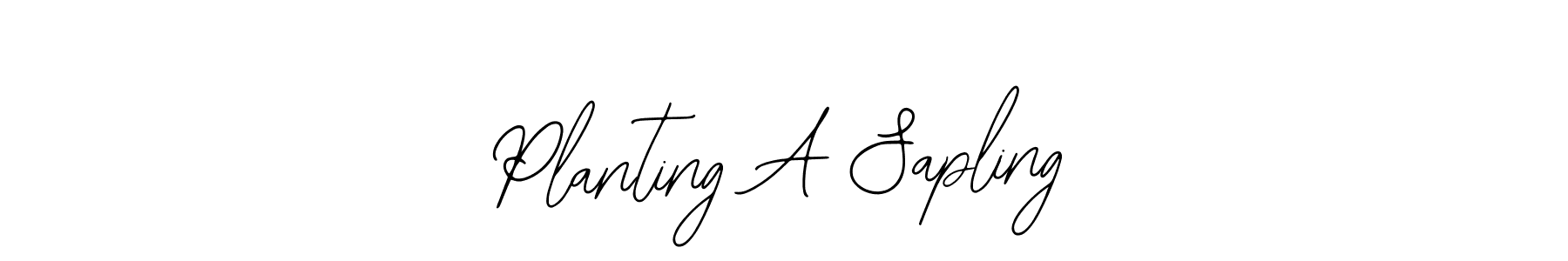 Similarly Bearetta-2O07w is the best handwritten signature design. Signature creator online .You can use it as an online autograph creator for name Planting A Sapling. Planting A Sapling signature style 12 images and pictures png