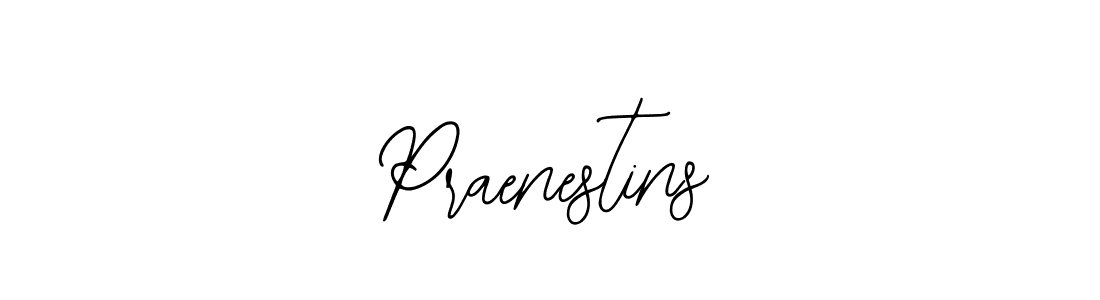 Design your own signature with our free online signature maker. With this signature software, you can create a handwritten (Bearetta-2O07w) signature for name Praenestins. Praenestins signature style 12 images and pictures png