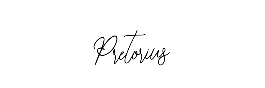 You should practise on your own different ways (Bearetta-2O07w) to write your name (Pretorius) in signature. don't let someone else do it for you. Pretorius signature style 12 images and pictures png