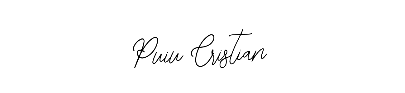 It looks lik you need a new signature style for name Puiu Cristian. Design unique handwritten (Bearetta-2O07w) signature with our free signature maker in just a few clicks. Puiu Cristian signature style 12 images and pictures png