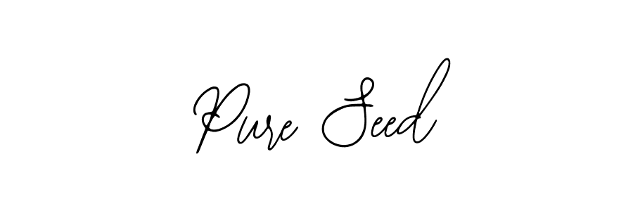 Bearetta-2O07w is a professional signature style that is perfect for those who want to add a touch of class to their signature. It is also a great choice for those who want to make their signature more unique. Get Pure Seed name to fancy signature for free. Pure Seed signature style 12 images and pictures png