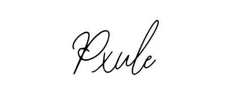 Make a short Pxule signature style. Manage your documents anywhere anytime using Bearetta-2O07w. Create and add eSignatures, submit forms, share and send files easily. Pxule signature style 12 images and pictures png