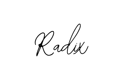 This is the best signature style for the Radix name. Also you like these signature font (Bearetta-2O07w). Mix name signature. Radix signature style 12 images and pictures png