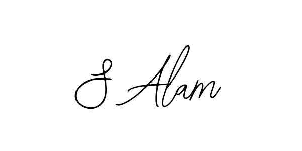 You should practise on your own different ways (Bearetta-2O07w) to write your name (S Alam) in signature. don't let someone else do it for you. S Alam signature style 12 images and pictures png