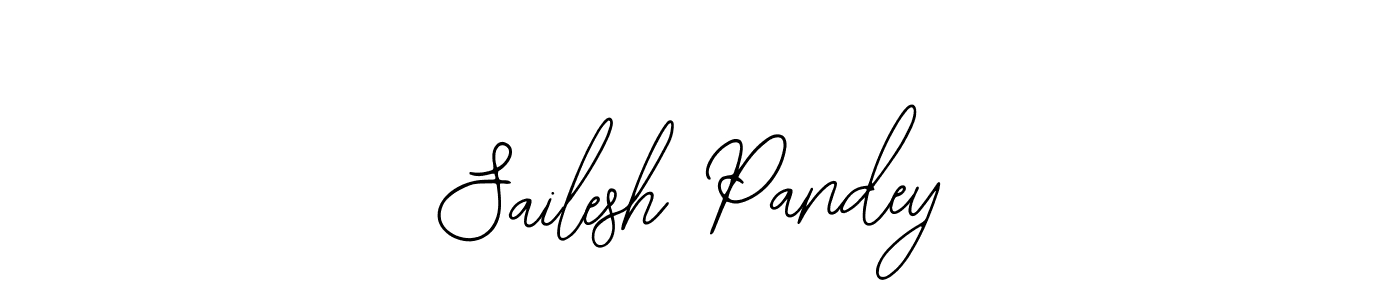 You should practise on your own different ways (Bearetta-2O07w) to write your name (Sailesh Pandey) in signature. don't let someone else do it for you. Sailesh Pandey signature style 12 images and pictures png