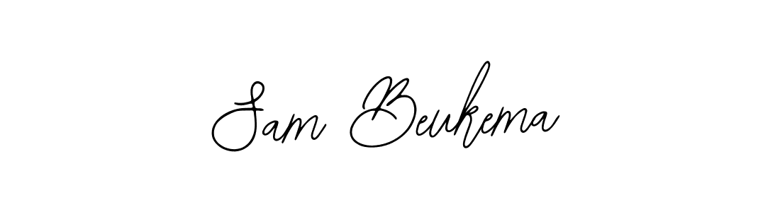 It looks lik you need a new signature style for name Sam Beukema. Design unique handwritten (Bearetta-2O07w) signature with our free signature maker in just a few clicks. Sam Beukema signature style 12 images and pictures png