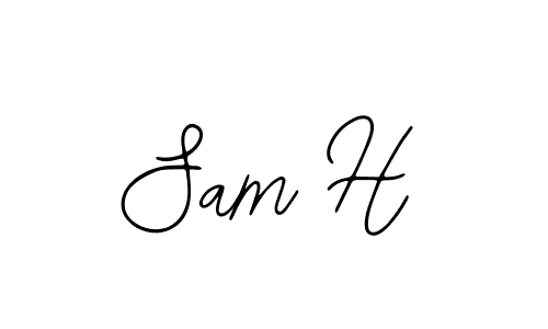 Create a beautiful signature design for name Sam H. With this signature (Bearetta-2O07w) fonts, you can make a handwritten signature for free. Sam H signature style 12 images and pictures png