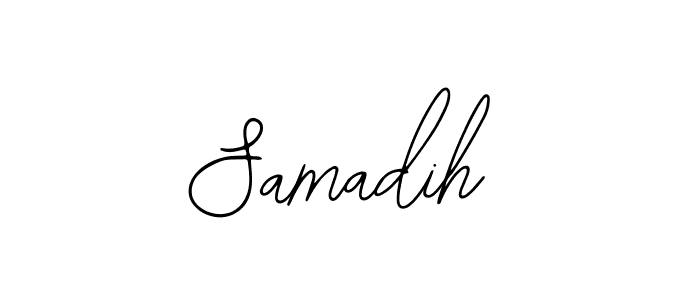 You should practise on your own different ways (Bearetta-2O07w) to write your name (Samadih) in signature. don't let someone else do it for you. Samadih signature style 12 images and pictures png