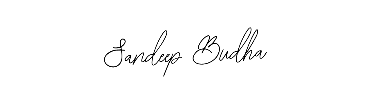 The best way (Bearetta-2O07w) to make a short signature is to pick only two or three words in your name. The name Sandeep Budha include a total of six letters. For converting this name. Sandeep Budha signature style 12 images and pictures png