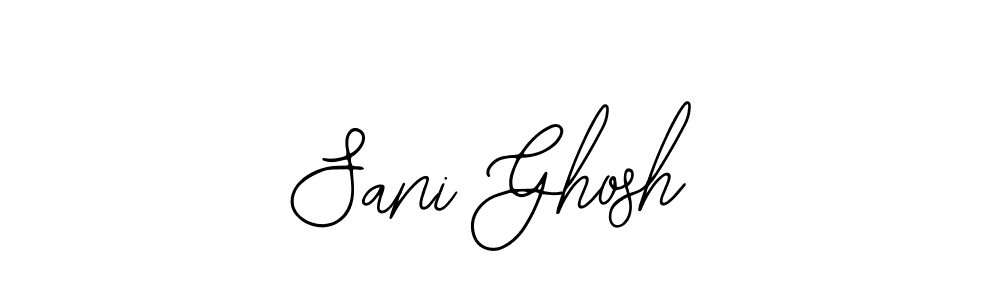 Create a beautiful signature design for name Sani Ghosh. With this signature (Bearetta-2O07w) fonts, you can make a handwritten signature for free. Sani Ghosh signature style 12 images and pictures png