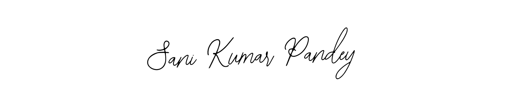 Best and Professional Signature Style for Sani Kumar Pandey. Bearetta-2O07w Best Signature Style Collection. Sani Kumar Pandey signature style 12 images and pictures png