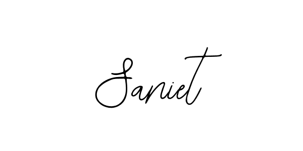 Use a signature maker to create a handwritten signature online. With this signature software, you can design (Bearetta-2O07w) your own signature for name Saniet. Saniet signature style 12 images and pictures png
