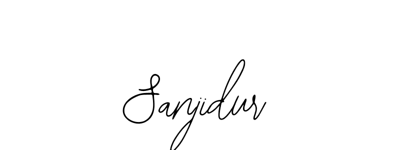 Make a beautiful signature design for name Sanjidur. Use this online signature maker to create a handwritten signature for free. Sanjidur signature style 12 images and pictures png