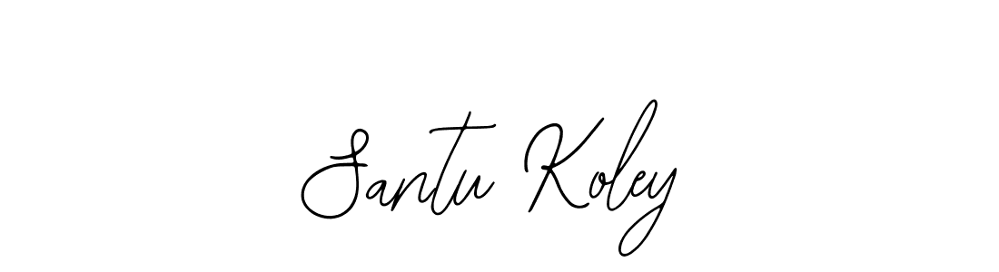 Make a beautiful signature design for name Santu Koley. With this signature (Bearetta-2O07w) style, you can create a handwritten signature for free. Santu Koley signature style 12 images and pictures png