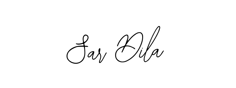 You should practise on your own different ways (Bearetta-2O07w) to write your name (Sar Dila) in signature. don't let someone else do it for you. Sar Dila signature style 12 images and pictures png