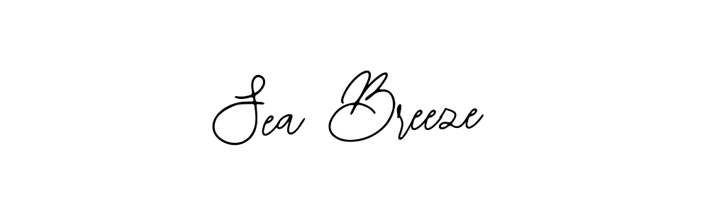 Make a beautiful signature design for name Sea Breeze. With this signature (Bearetta-2O07w) style, you can create a handwritten signature for free. Sea Breeze signature style 12 images and pictures png