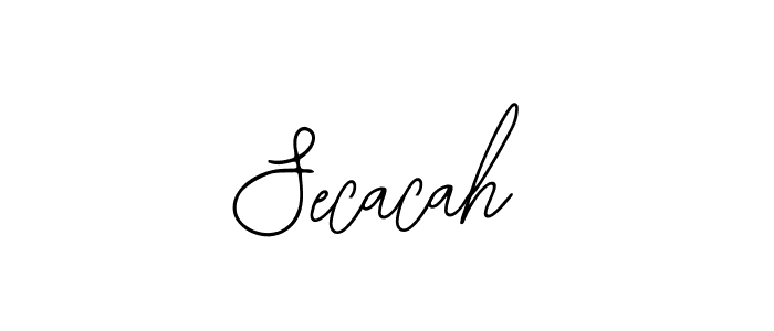 It looks lik you need a new signature style for name Secacah. Design unique handwritten (Bearetta-2O07w) signature with our free signature maker in just a few clicks. Secacah signature style 12 images and pictures png