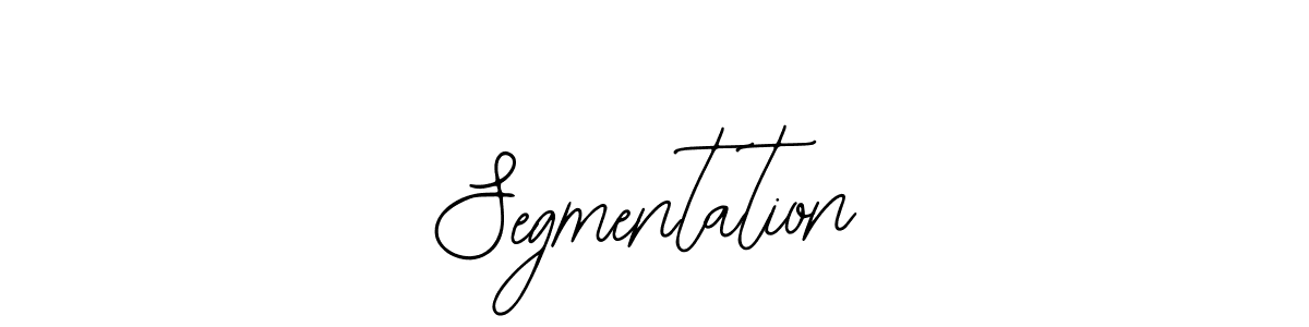 Also You can easily find your signature by using the search form. We will create Segmentation name handwritten signature images for you free of cost using Bearetta-2O07w sign style. Segmentation signature style 12 images and pictures png