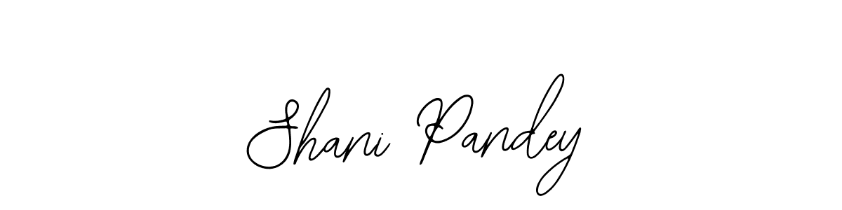 Create a beautiful signature design for name Shani Pandey. With this signature (Bearetta-2O07w) fonts, you can make a handwritten signature for free. Shani Pandey signature style 12 images and pictures png