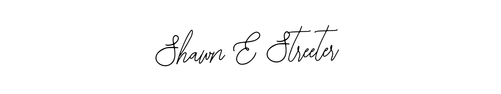 You should practise on your own different ways (Bearetta-2O07w) to write your name (Shawn E Streeter) in signature. don't let someone else do it for you. Shawn E Streeter signature style 12 images and pictures png