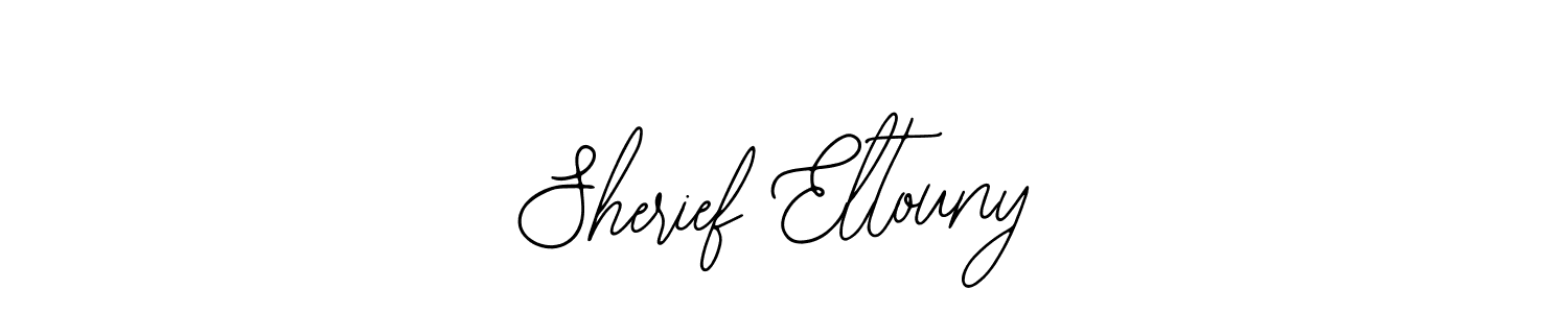 Make a beautiful signature design for name Sherief Eltouny. Use this online signature maker to create a handwritten signature for free. Sherief Eltouny signature style 12 images and pictures png