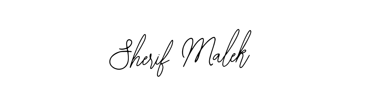 You should practise on your own different ways (Bearetta-2O07w) to write your name (Sherif Malek) in signature. don't let someone else do it for you. Sherif Malek signature style 12 images and pictures png