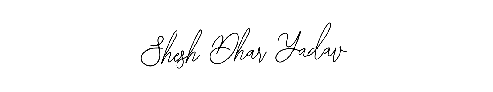 It looks lik you need a new signature style for name Shesh Dhar Yadav. Design unique handwritten (Bearetta-2O07w) signature with our free signature maker in just a few clicks. Shesh Dhar Yadav signature style 12 images and pictures png