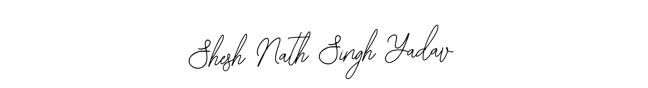 Also we have Shesh Nath Singh Yadav name is the best signature style. Create professional handwritten signature collection using Bearetta-2O07w autograph style. Shesh Nath Singh Yadav signature style 12 images and pictures png