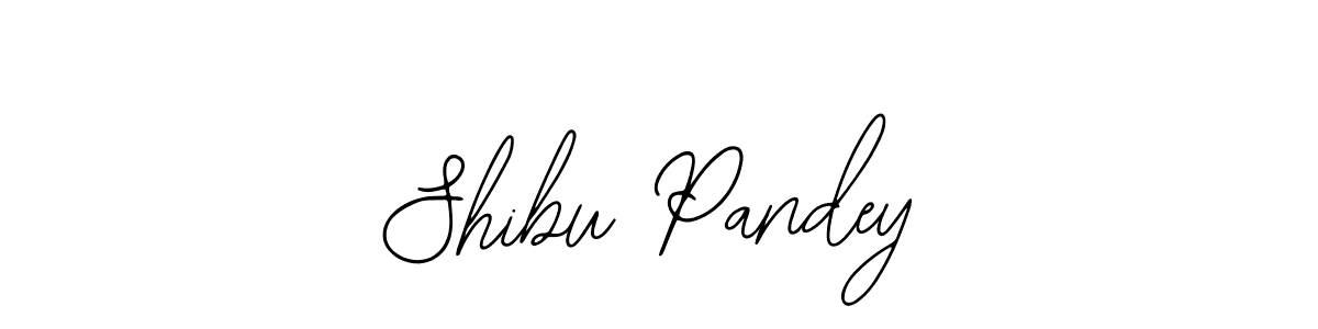 Make a short Shibu Pandey signature style. Manage your documents anywhere anytime using Bearetta-2O07w. Create and add eSignatures, submit forms, share and send files easily. Shibu Pandey signature style 12 images and pictures png