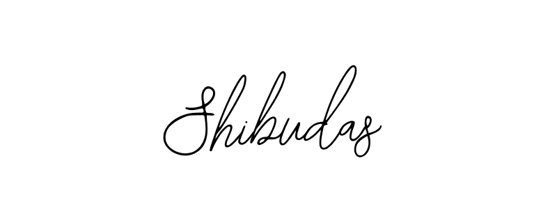You should practise on your own different ways (Bearetta-2O07w) to write your name (Shibudas) in signature. don't let someone else do it for you. Shibudas signature style 12 images and pictures png