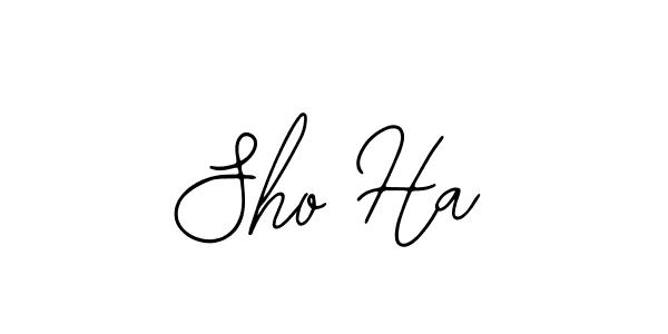 Bearetta-2O07w is a professional signature style that is perfect for those who want to add a touch of class to their signature. It is also a great choice for those who want to make their signature more unique. Get Sho Ha name to fancy signature for free. Sho Ha signature style 12 images and pictures png