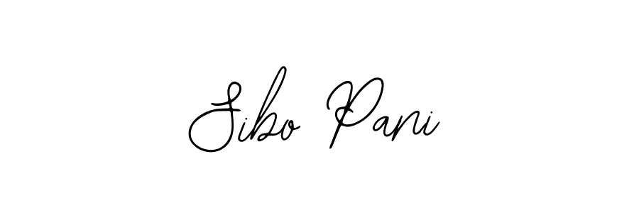 Also we have Sibo Pani name is the best signature style. Create professional handwritten signature collection using Bearetta-2O07w autograph style. Sibo Pani signature style 12 images and pictures png