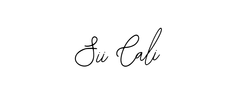 Also we have Sii Cali name is the best signature style. Create professional handwritten signature collection using Bearetta-2O07w autograph style. Sii Cali signature style 12 images and pictures png