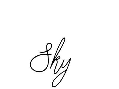 You can use this online signature creator to create a handwritten signature for the name Sky . This is the best online autograph maker. Sky  signature style 12 images and pictures png