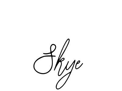 You should practise on your own different ways (Bearetta-2O07w) to write your name (Skye) in signature. don't let someone else do it for you. Skye signature style 12 images and pictures png