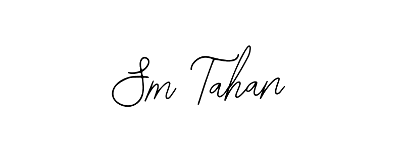 Make a beautiful signature design for name Sm Tahan. Use this online signature maker to create a handwritten signature for free. Sm Tahan signature style 12 images and pictures png