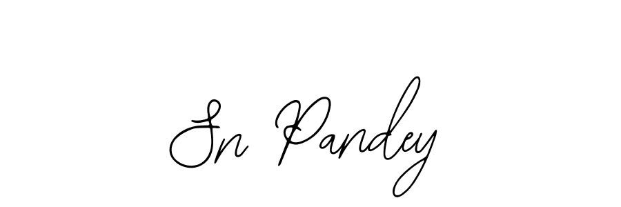 Create a beautiful signature design for name Sn Pandey. With this signature (Bearetta-2O07w) fonts, you can make a handwritten signature for free. Sn Pandey signature style 12 images and pictures png