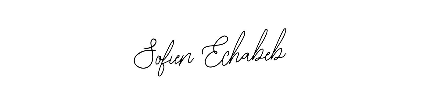 You should practise on your own different ways (Bearetta-2O07w) to write your name (Sofien Echabeb) in signature. don't let someone else do it for you. Sofien Echabeb signature style 12 images and pictures png