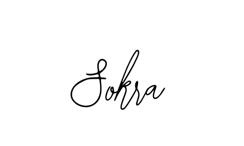 You should practise on your own different ways (Bearetta-2O07w) to write your name (Sokra) in signature. don't let someone else do it for you. Sokra signature style 12 images and pictures png