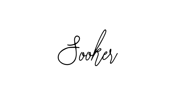 Sooker stylish signature style. Best Handwritten Sign (Bearetta-2O07w) for my name. Handwritten Signature Collection Ideas for my name Sooker. Sooker signature style 12 images and pictures png