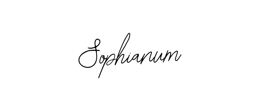 You should practise on your own different ways (Bearetta-2O07w) to write your name (Sophianum) in signature. don't let someone else do it for you. Sophianum signature style 12 images and pictures png