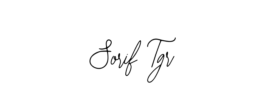 You should practise on your own different ways (Bearetta-2O07w) to write your name (Sorif Tgr) in signature. don't let someone else do it for you. Sorif Tgr signature style 12 images and pictures png