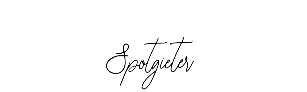 You should practise on your own different ways (Bearetta-2O07w) to write your name (Spotgieter) in signature. don't let someone else do it for you. Spotgieter signature style 12 images and pictures png