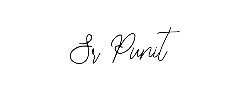 Bearetta-2O07w is a professional signature style that is perfect for those who want to add a touch of class to their signature. It is also a great choice for those who want to make their signature more unique. Get Sr Punit name to fancy signature for free. Sr Punit signature style 12 images and pictures png