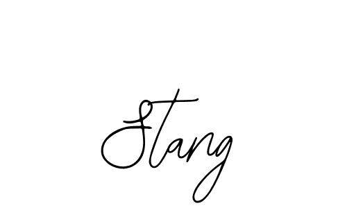 It looks lik you need a new signature style for name Stang. Design unique handwritten (Bearetta-2O07w) signature with our free signature maker in just a few clicks. Stang signature style 12 images and pictures png