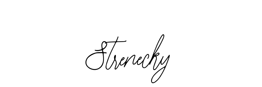 Also You can easily find your signature by using the search form. We will create Strenecky name handwritten signature images for you free of cost using Bearetta-2O07w sign style. Strenecky signature style 12 images and pictures png