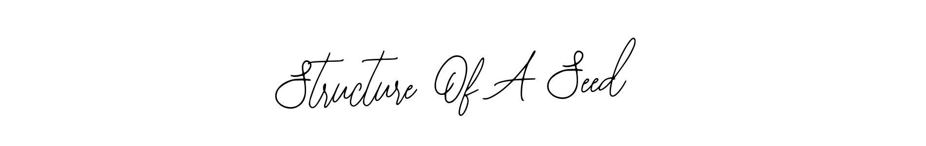 Create a beautiful signature design for name Structure Of A Seed. With this signature (Bearetta-2O07w) fonts, you can make a handwritten signature for free. Structure Of A Seed signature style 12 images and pictures png