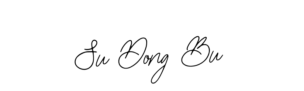 You should practise on your own different ways (Bearetta-2O07w) to write your name (Su Dong Bu) in signature. don't let someone else do it for you. Su Dong Bu signature style 12 images and pictures png